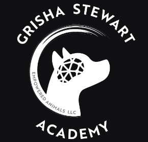 grisha stewart academy dog training